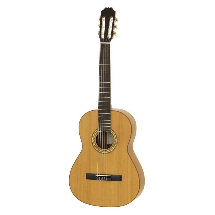 klassische-Gitarre-Aria-Modell-ACE-1-_0001.jpg