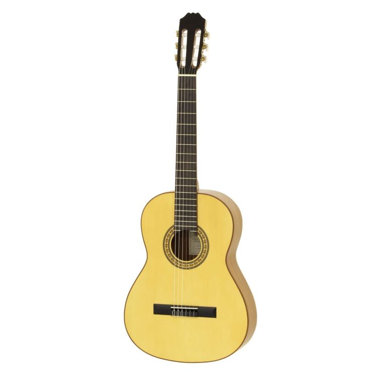 klassische-Gitarre-Aria-Modell-ACE-1-_0001.jpg