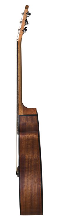 westerngitarre-baton-rouge-modell-ar11c-gace-zeder_00032.jpg