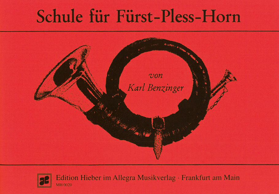 Karl-Benzinger-Schule-fuer-Fuerst-Pless-Horn-1-Jag_0001.JPG