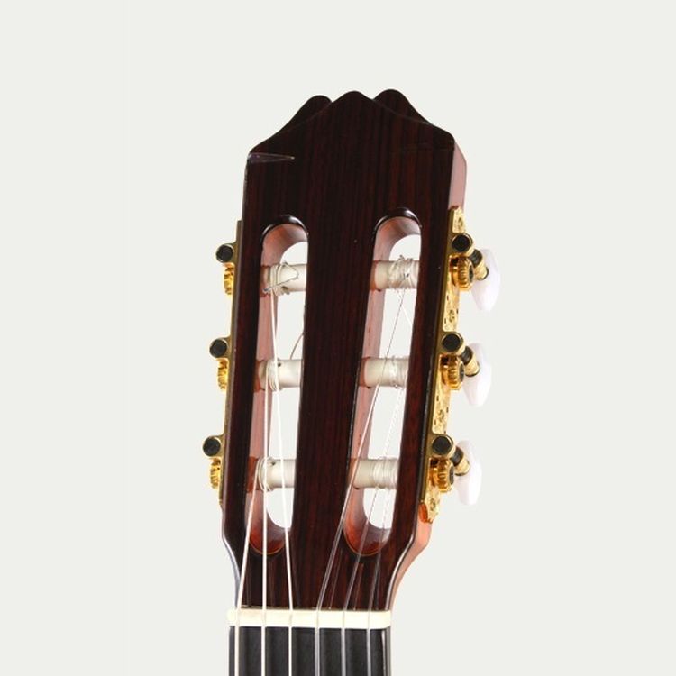 klassische-Gitarre-Aria-Modell-AC-50-Zeder-Palisan_0004.jpg