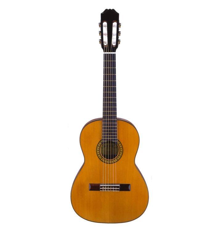 klassische-Gitarre-Aria-Modell-PS-53-_0001.jpg