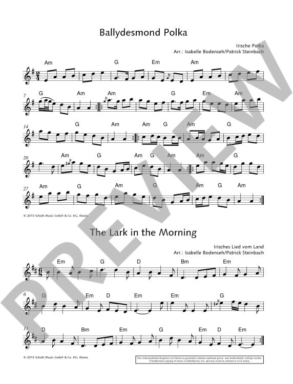the-irish-flute-book_0002.jpg