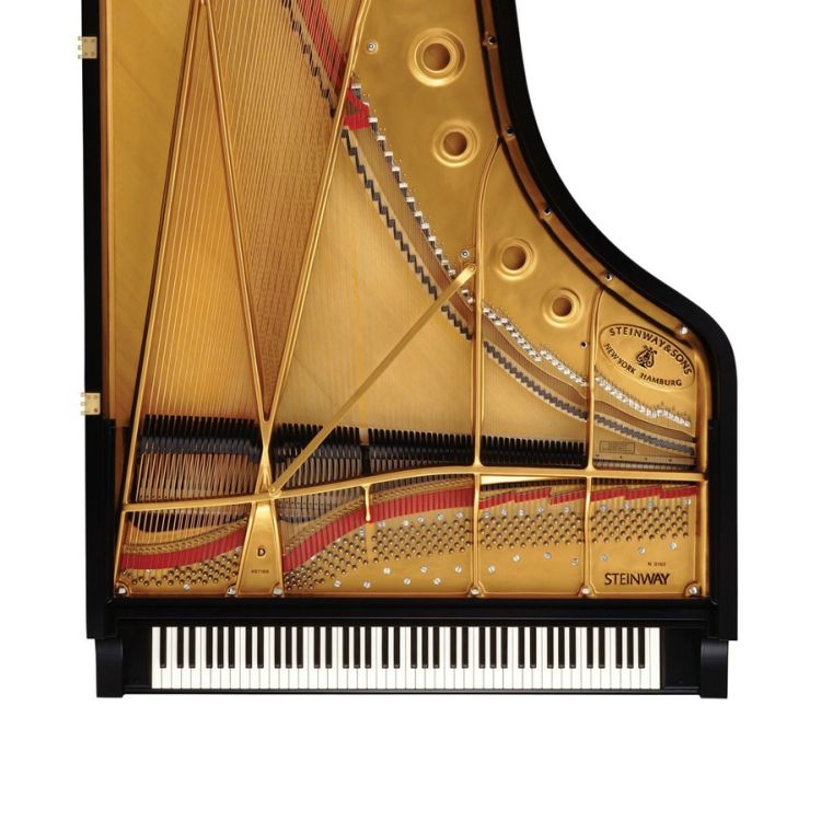 Fluegel-Steinway--Sons-Modell-D-274-Harmonische-Da_0002.jpg