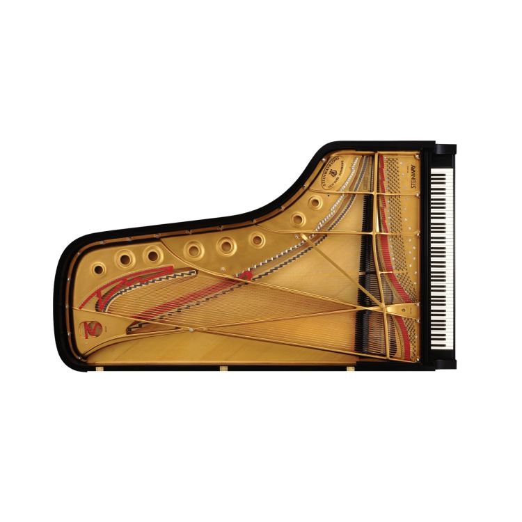 Fluegel-Steinway--Sons-Modell-D-274-Harmonische-Da_0004.jpg