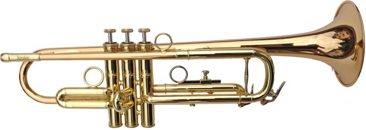 Trompete-in-Bb-Phoenix-Modell-Junior-gold-inkl-Kof_0003.jpg