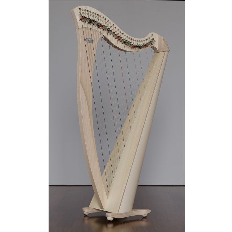 keltische-Harfe-Salvi-Modell-Mia-Silkgut-Darm-Ahor_0002.jpg