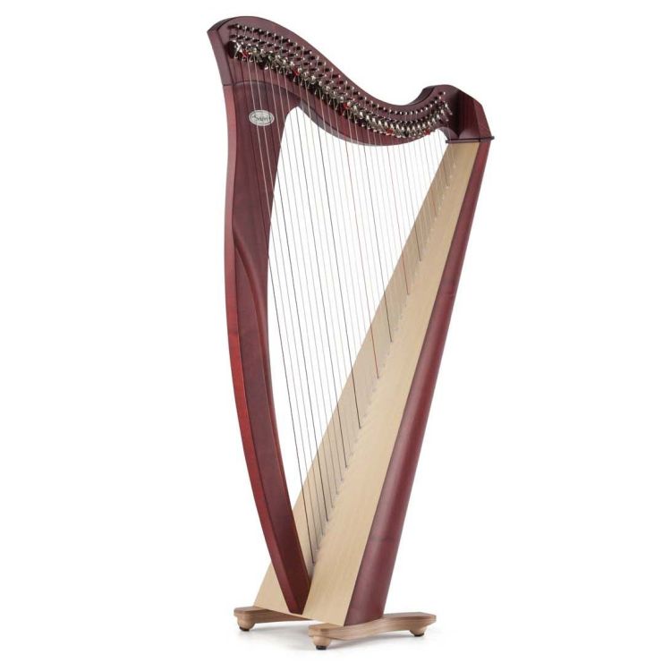 keltische-Harfe-Salvi-Modell-Salvi-Mia-34-Saiten-S_0001.jpg