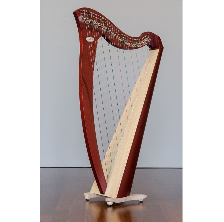 keltische-Harfe-Salvi-Modell-Salvi-Mia-34-Saiten-S_0002.jpg