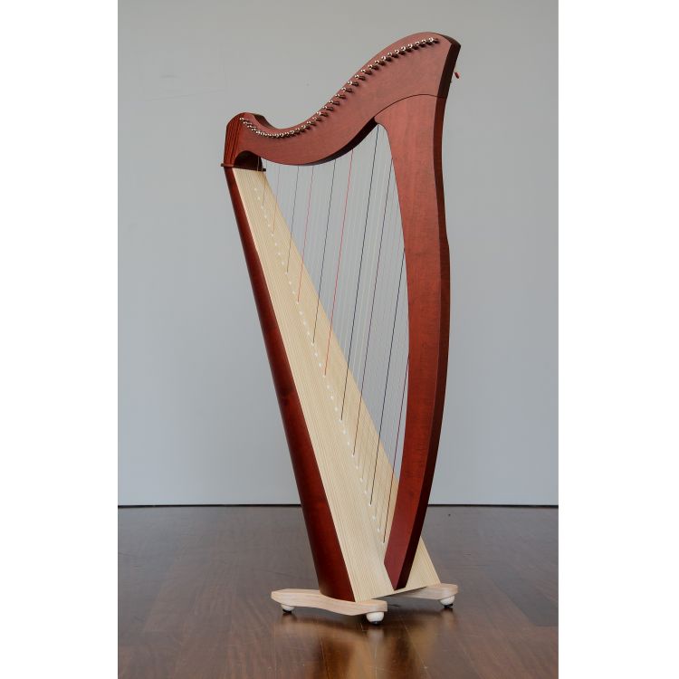 keltische-Harfe-Salvi-Modell-Salvi-Mia-34-Saiten-S_0003.jpg