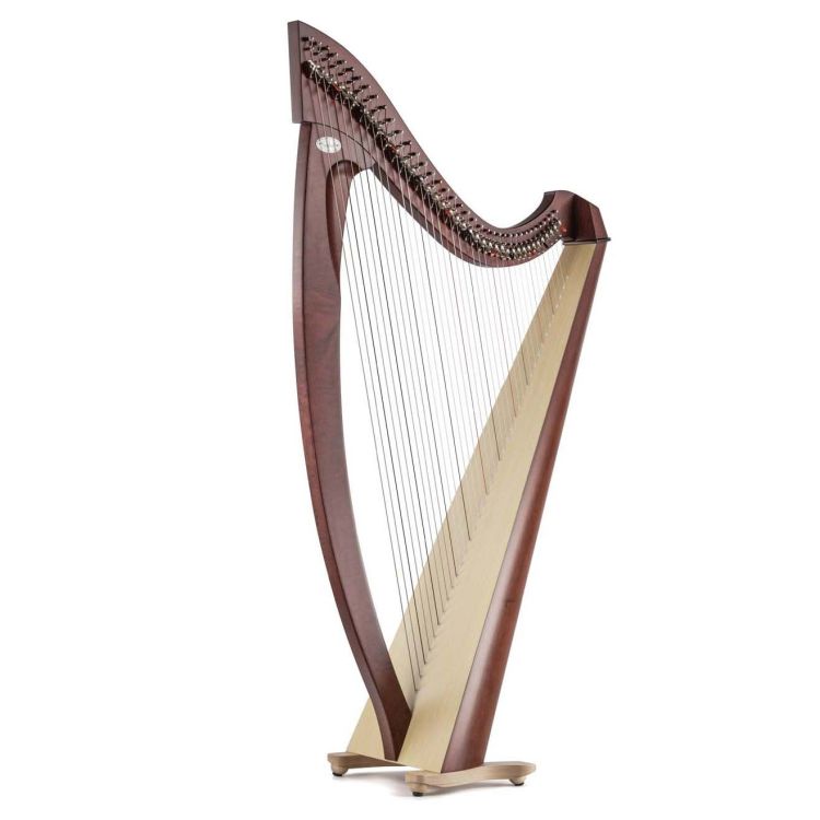 keltische-Harfe-Salvi-Modell-Titan-Silkgut-Darm-Ma_0001.jpg