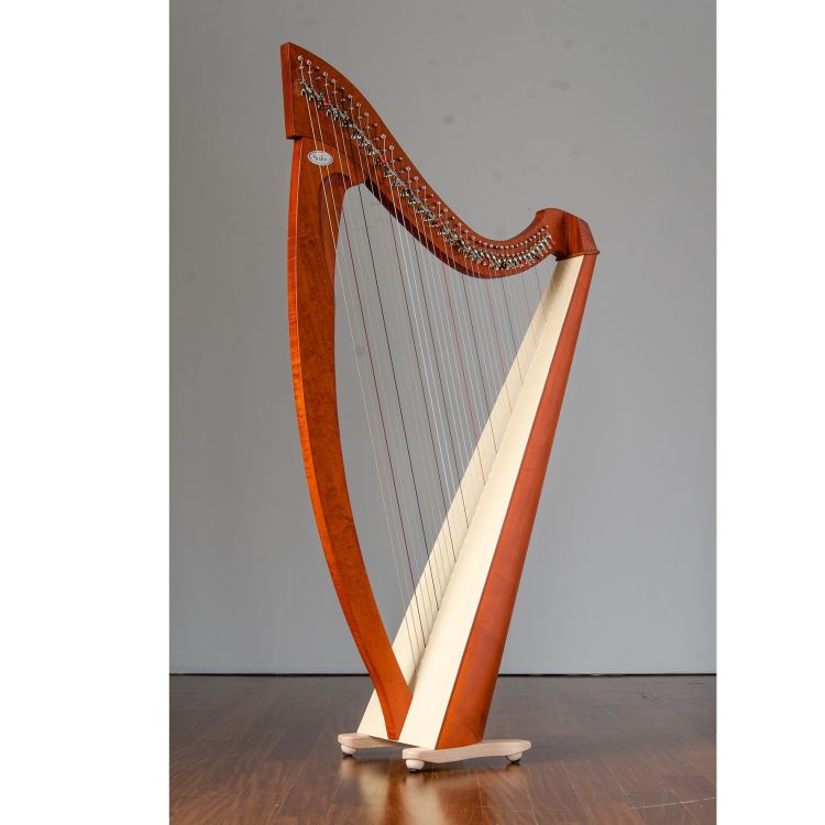 keltische-Harfe-Salvi-Modell-Titan-Silkgut-Kirschb_0002.jpg