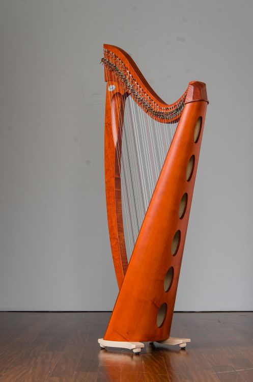 keltische-Harfe-Salvi-Modell-Titan-Silkgut-Kirschb_2.jpg
