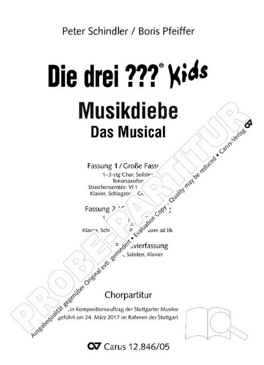 Peter-Schindler-Die-drei-___-Kids-Musikdiebe-JCh-E_0001.jpg