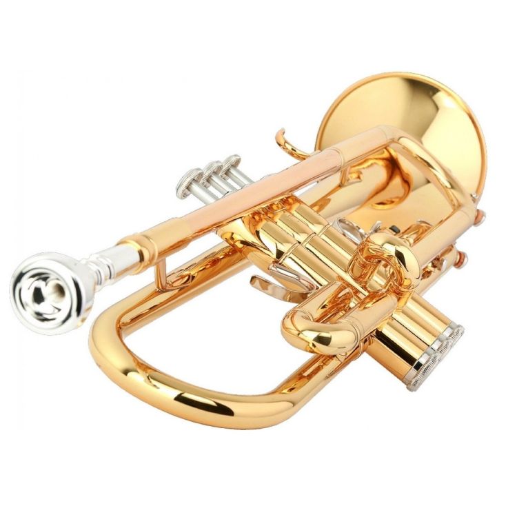 Trompete-in-Bb-Yamaha-Modell-YTR-2330-gold-inkl-Ko_0006.jpg