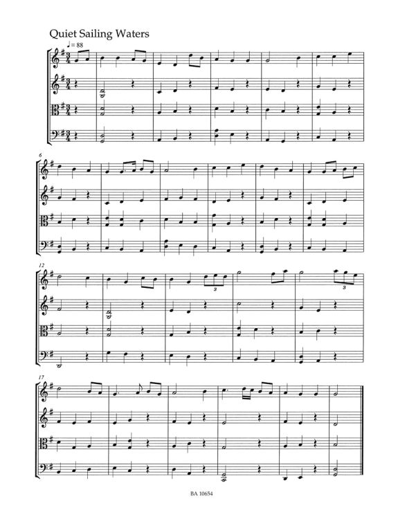 Fiddle-Tunes-Irische-Musik-fuer-Streicher-2Vl-Va-V_0003.jpg