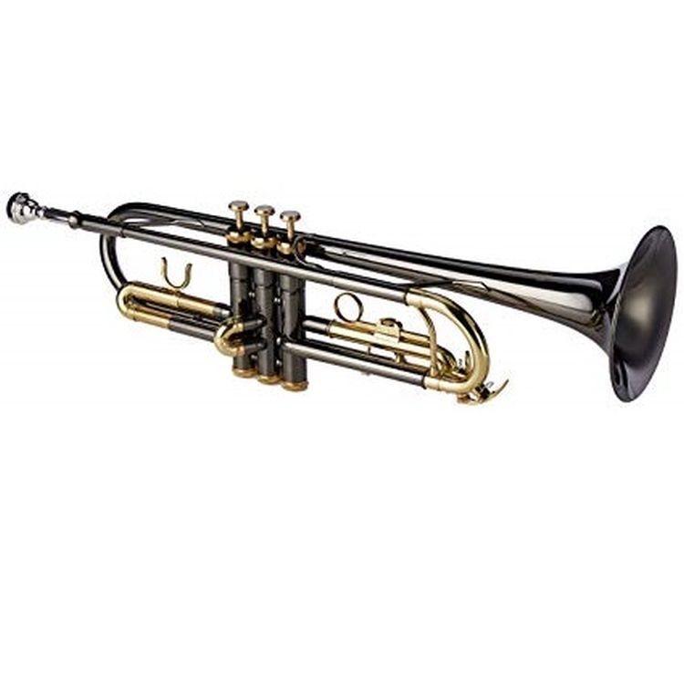 Trompete-in-Bb-Roy-Benson-Modell-TR-101K-schwarz-i_0002.jpg