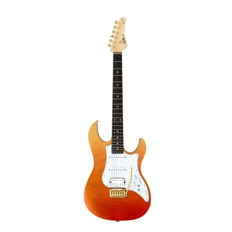 e-gitarre-fgn-modell_0001.jpg